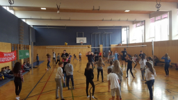 volleyball (3)